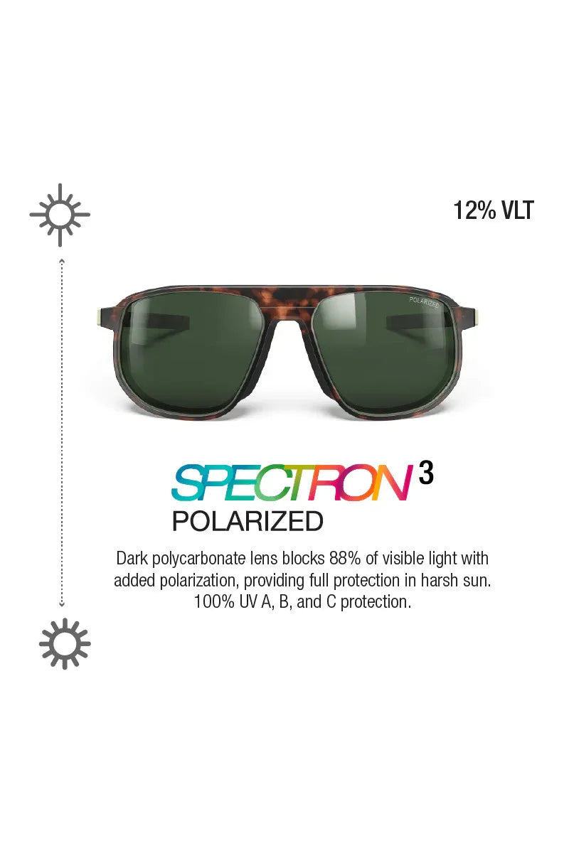 Julbo Ward Tortoise Brown Spectron 3 Polarized